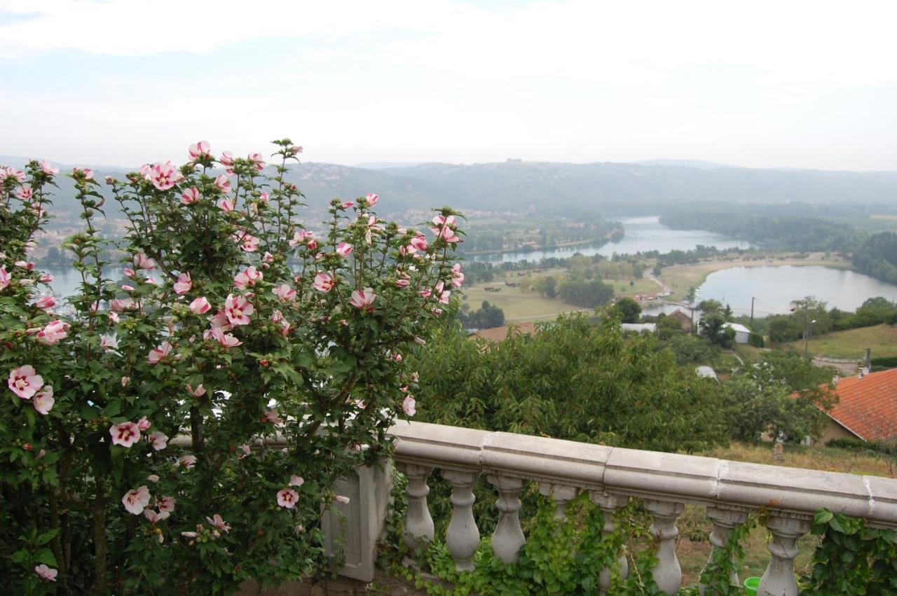 Villa Panoramique Saint-Clair-du-Rhone Exteriör bild