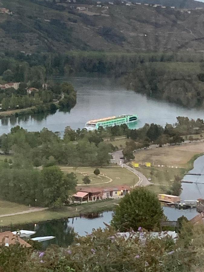 Villa Panoramique Saint-Clair-du-Rhone Exteriör bild